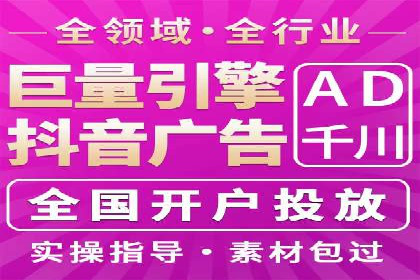 SEM主管实战：案例分析与优化策略